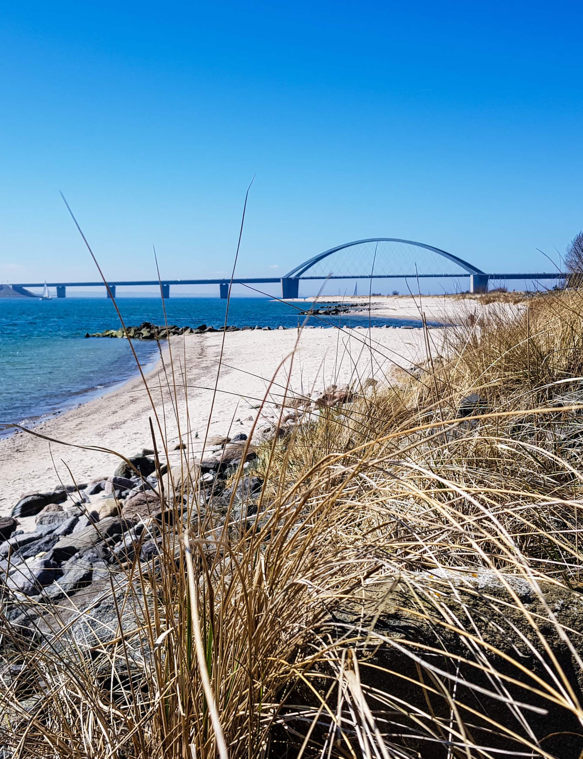 Beach with dune grass and the Fehmarn Sound Bridge behind it